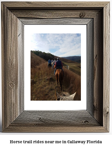 horse trail rides near me in Callaway, Florida